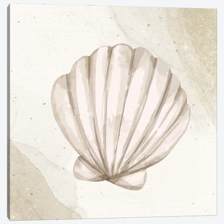 Calming Shell II Canvas Print #KAL1140} by Kimberly Allen Canvas Print