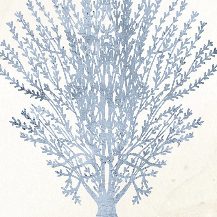 Coral Days II