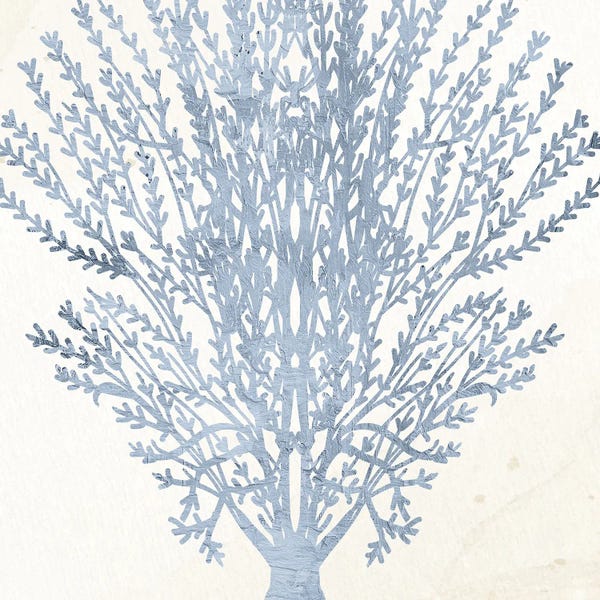 Coral: Coral Days II by Kimberly Allen