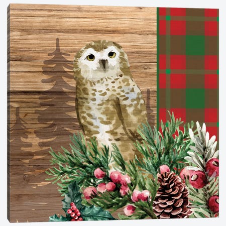 Woodland Christmas Square II Canvas Print #KAL1214} by Kimberly Allen Canvas Wall Art
