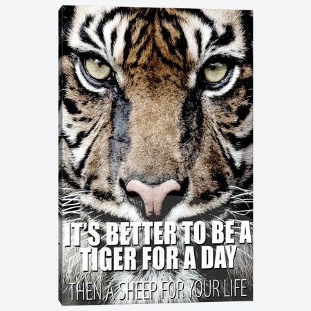 A Tiger For A Day Canvas Print #KAL1254} by Kimberly Allen Canvas Artwork