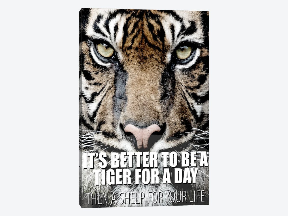 A Tiger For A Day by Kimberly Allen 1-piece Canvas Art Print