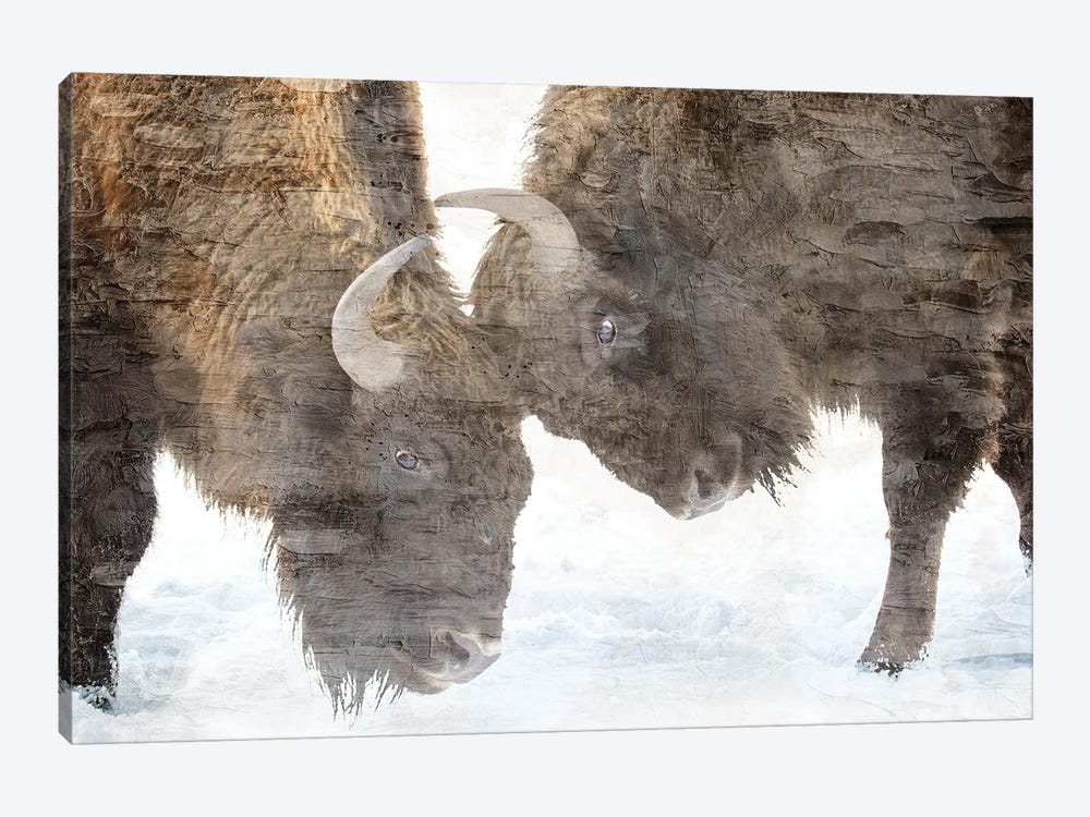 Bison Two by Kimberly Allen 1-piece Canvas Print