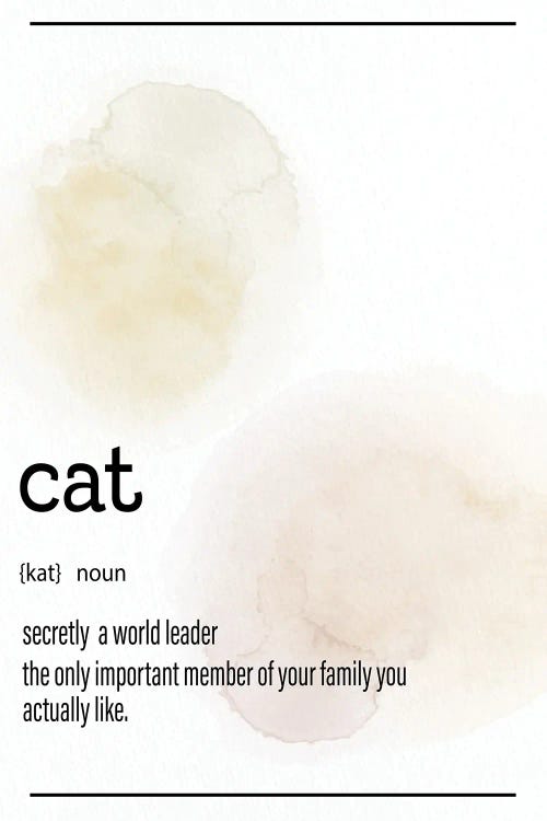 Cat Definition