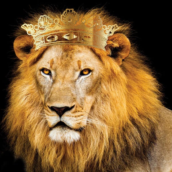 Crowns: Do Not Fear III V2 by Kimberly Allen