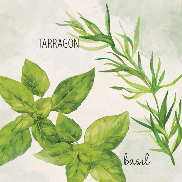 Herbs: Fresh Herbs I by Kimberly Allen