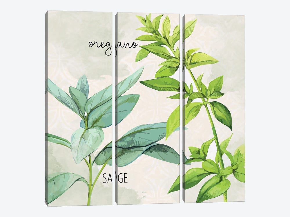 Fresh Herbs III by Kimberly Allen 3-piece Canvas Artwork