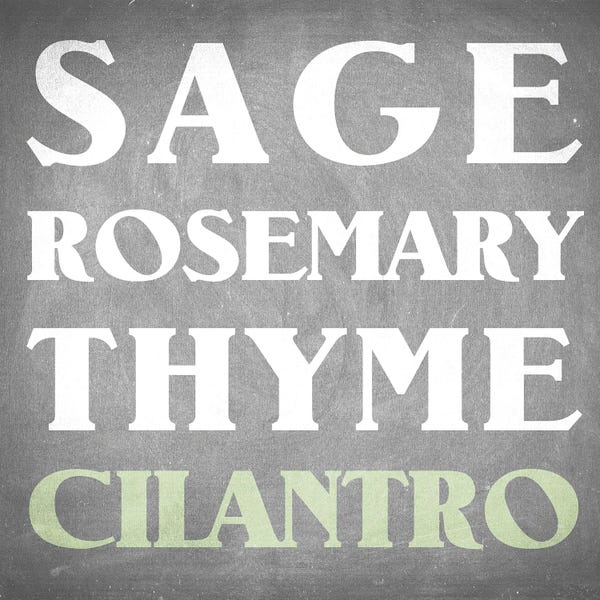 Herbs: Fresh Herbs IV by Kimberly Allen