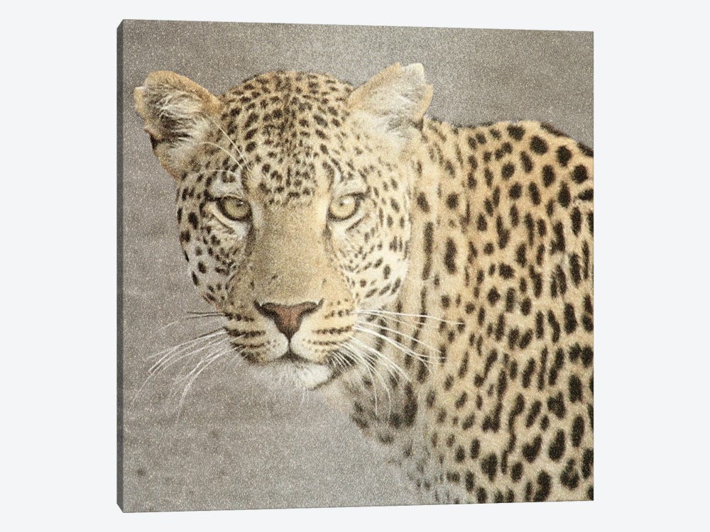 God Is Our Refuge Leopard V2 by Kimberly Allen 1-piece Canvas Artwork