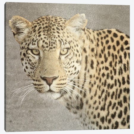 God Is Our Refuge Leopard V2 Canvas Print #KAL1309} by Kimberly Allen Canvas Print