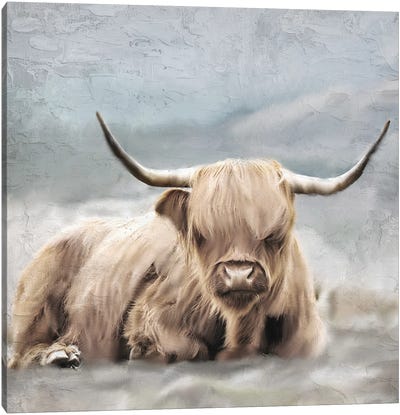 Highland Canvas Art Print