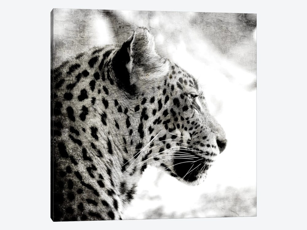 Leopard Gaze by Kimberly Allen 1-piece Art Print