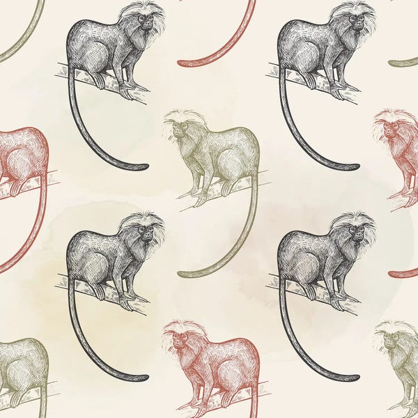 Monkeys: Monkey Around by Kimberly Allen