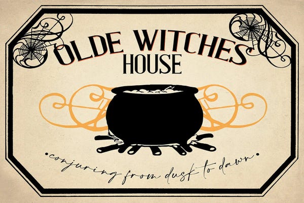 Spiders: Olde Witches House by Kimberly Allen