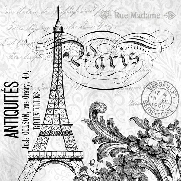Black & White Florals: Paris Vintage I by Kimberly Allen