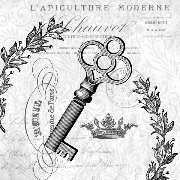 Black & White Florals: Paris Vintage II by Kimberly Allen