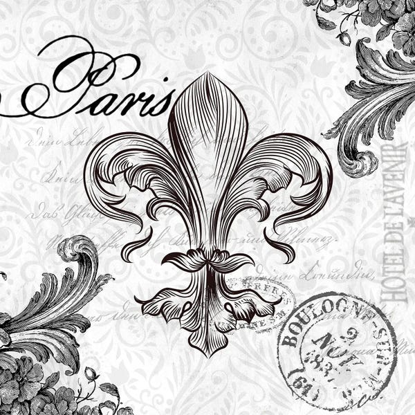 Fleur-de-lis: Paris Vintage III by Kimberly Allen