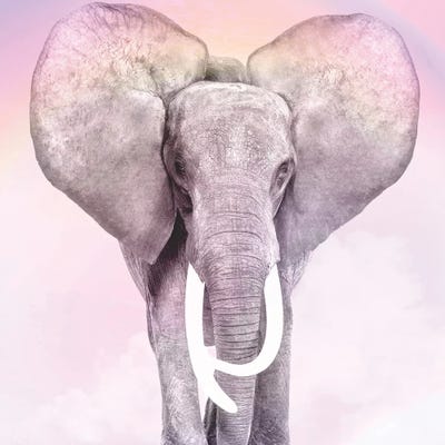 Pink Animals II by Kimberly Allen canvas print