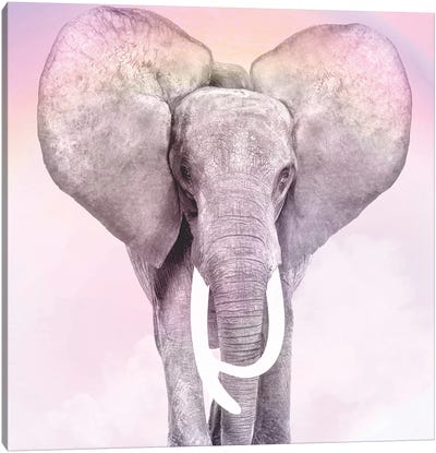 Pink Animals II Canvas Art Print - Kimberly Allen
