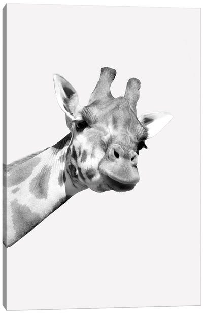 Quirky Giraffes I Canvas Art Print
