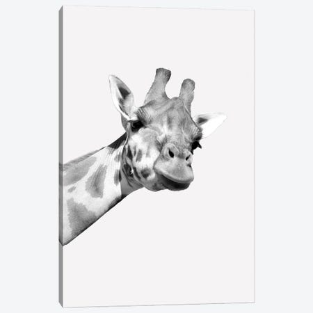 Quirky Giraffes I Canvas Print #KAL1338} by Kimberly Allen Canvas Art