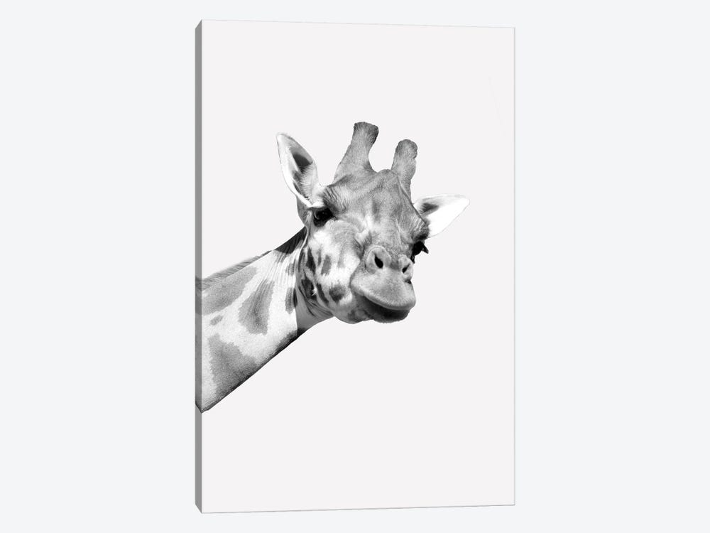 Quirky Giraffes I by Kimberly Allen 1-piece Canvas Wall Art
