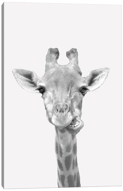 Quirky Giraffes II Canvas Art Print - Kimberly Allen
