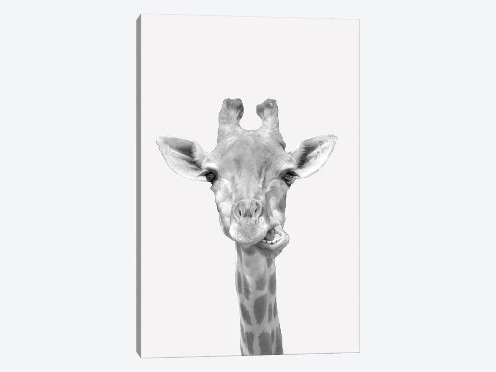 Quirky Giraffes II by Kimberly Allen 1-piece Canvas Print