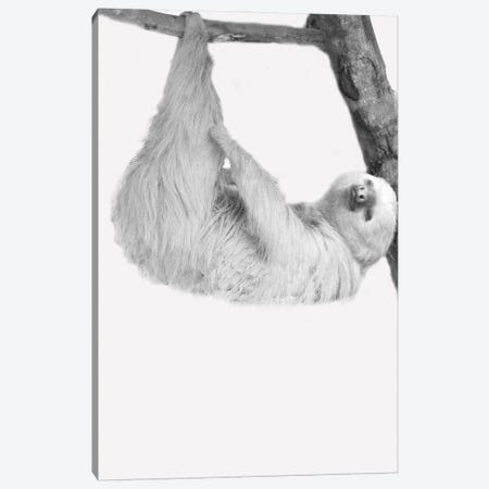 Quirky Sloths I Canvas Print #KAL1341} by Kimberly Allen Art Print