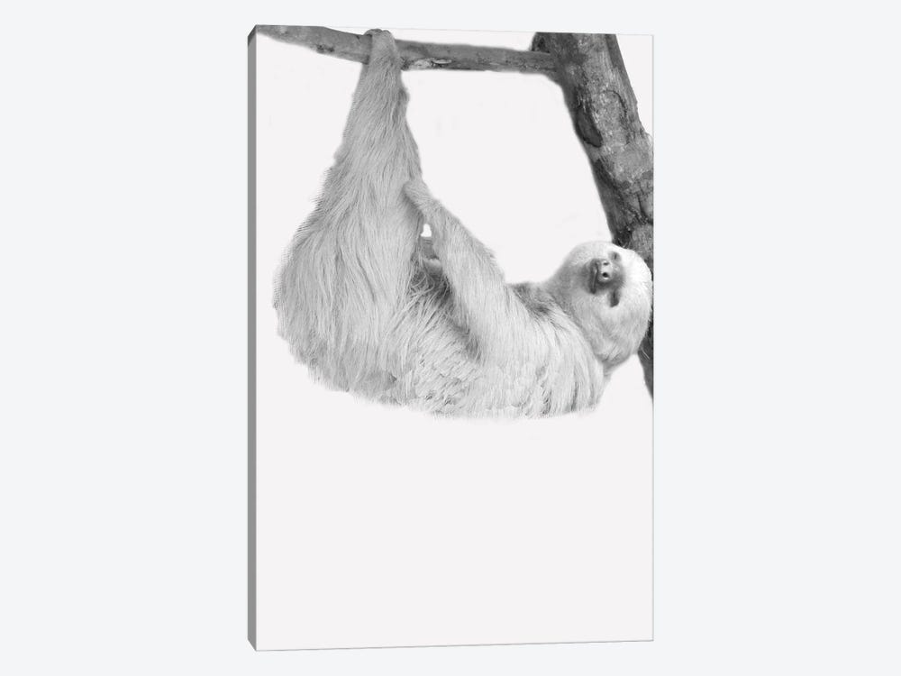 Quirky Sloths I by Kimberly Allen 1-piece Canvas Artwork