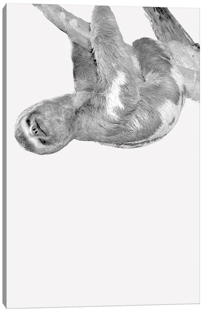 Quirky Sloths III Canvas Art Print - Sloth Art