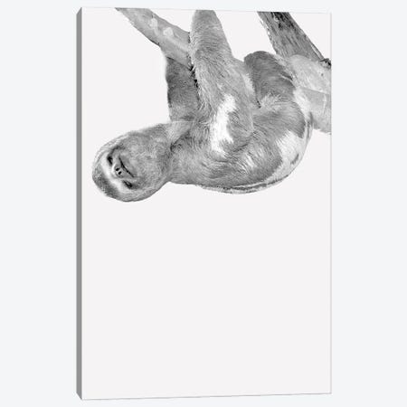 Quirky Sloths III Canvas Print #KAL1343} by Kimberly Allen Canvas Art Print