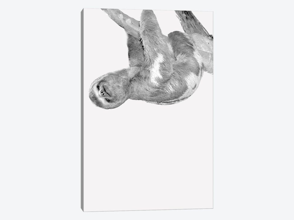 Quirky Sloths III by Kimberly Allen 1-piece Canvas Art