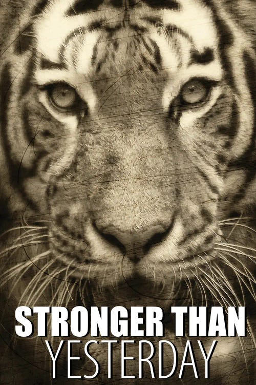 Stronger Than Yesterday