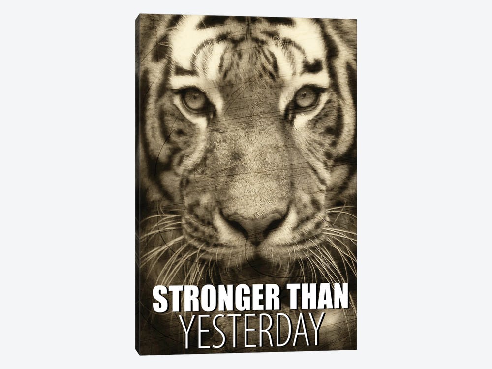 Stronger Than Yesterday by Kimberly Allen 1-piece Canvas Art