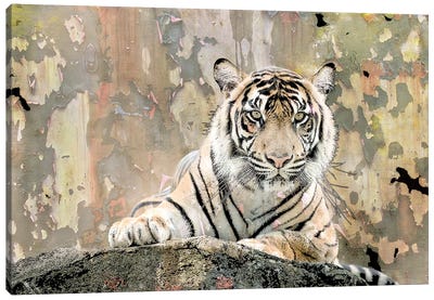 Tiger Love Canvas Art Print