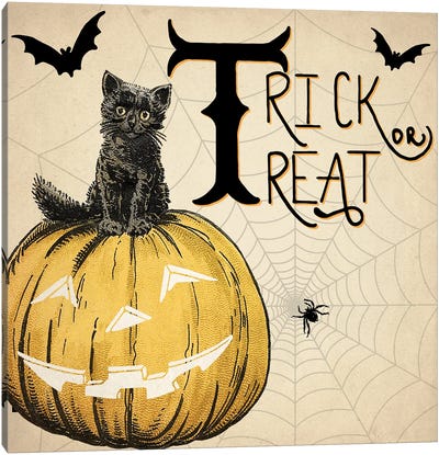 Trick Or Treat Cat Canvas Art Print - Spider Webs