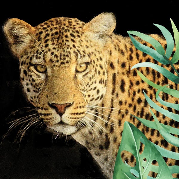 Leopards: Wild II by Kimberly Allen