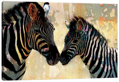Zebra Love Canvas Art Print - Kimberly Allen
