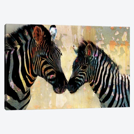 Zebra Love Canvas Print #KAL1372} by Kimberly Allen Canvas Art