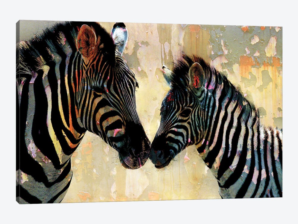 Zebra Love by Kimberly Allen 1-piece Canvas Wall Art