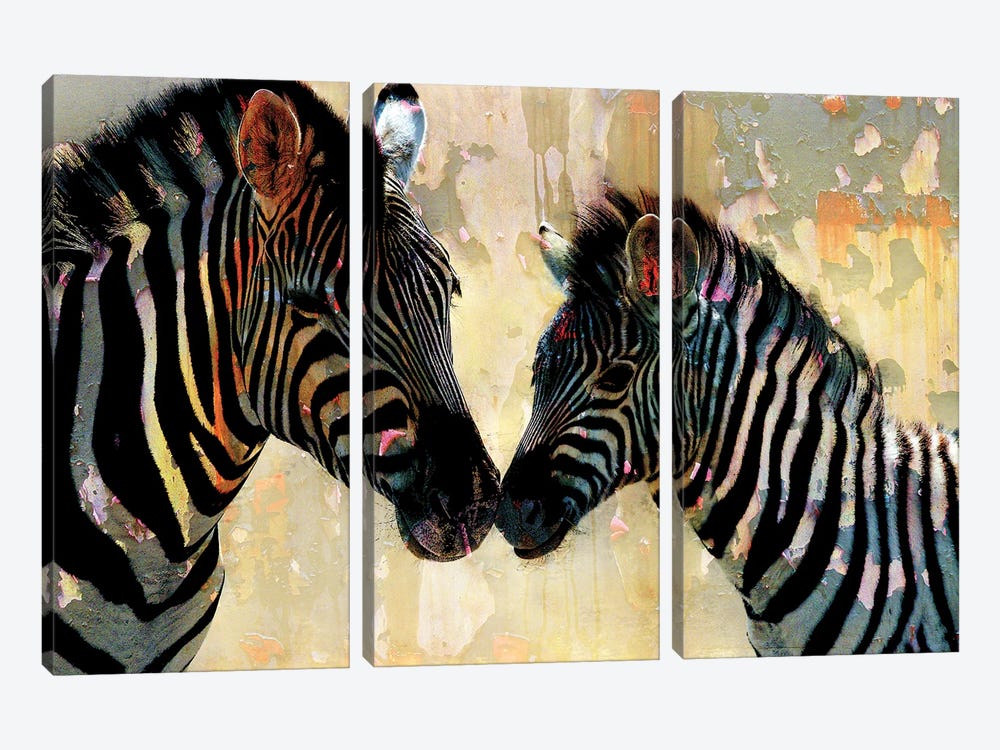 Zebra Love by Kimberly Allen 3-piece Canvas Art