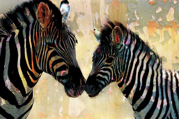 Zebras: Zebra Love by Kimberly Allen