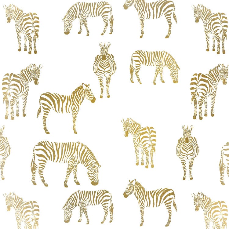 Zebra Zebra