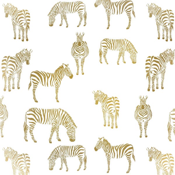 Zebras: Zebra Zebra by Kimberly Allen