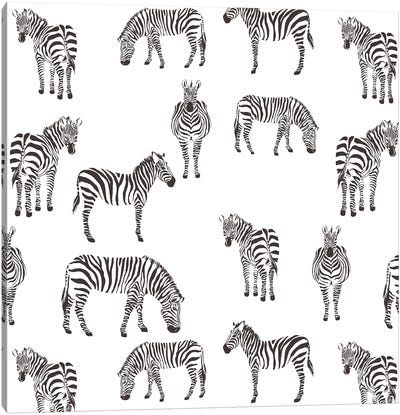 Zebra Zebra V2 Canvas Art Print - Kimberly Allen