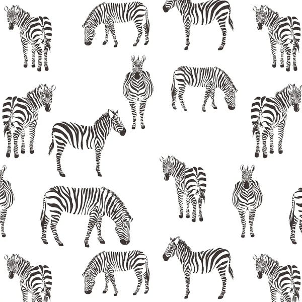 Zebras: Zebra Zebra V2 by Kimberly Allen