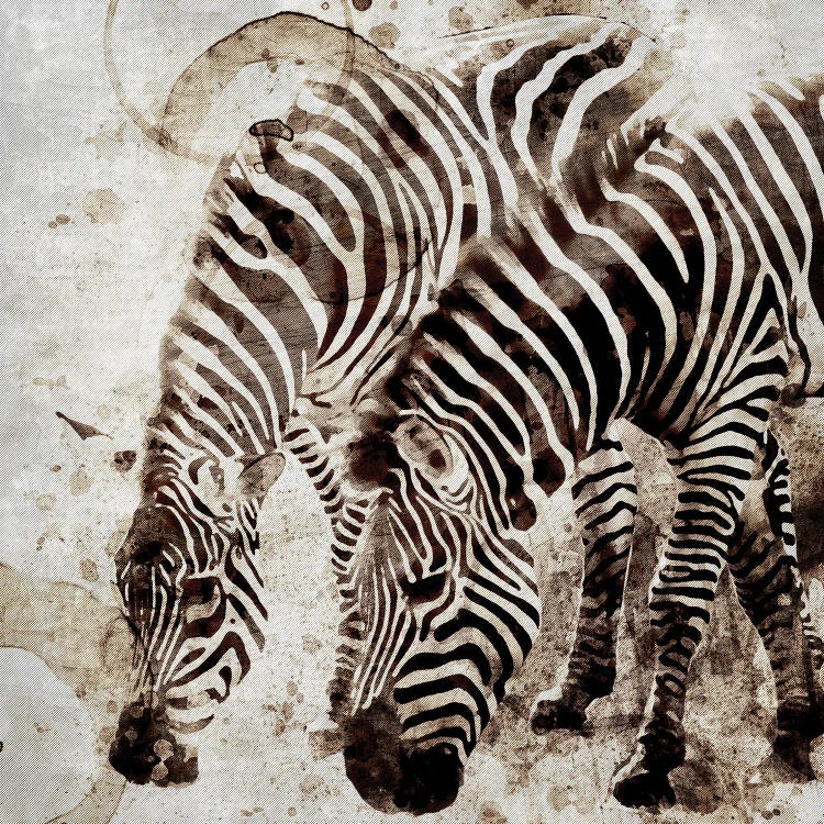 Zebras