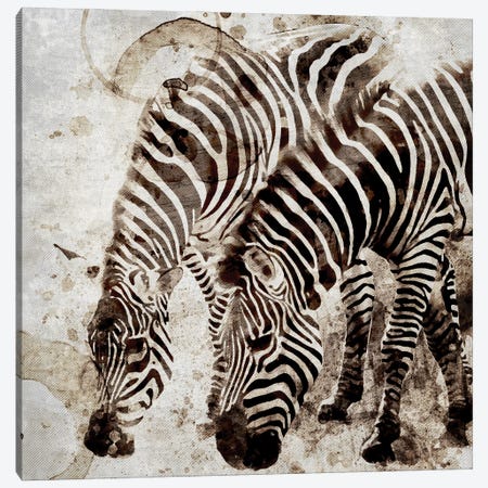 Zebras Canvas Print #KAL1375} by Kimberly Allen Canvas Art Print