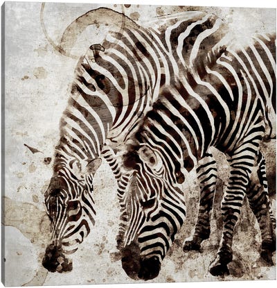 Zebras Canvas Art Print - Zebra Art